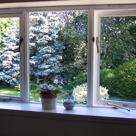 Mayertorne Cottage เอลส์เบอรี ภายนอก รูปภาพ